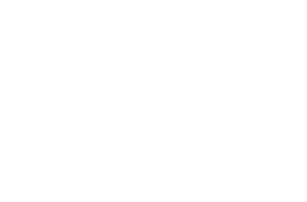 Logo Zafira Design